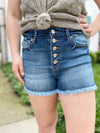 Kalani High Rise Denim Shorts