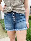 Kalani High Rise Denim Shorts