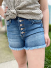 Kalani High Rise Denim Shorts